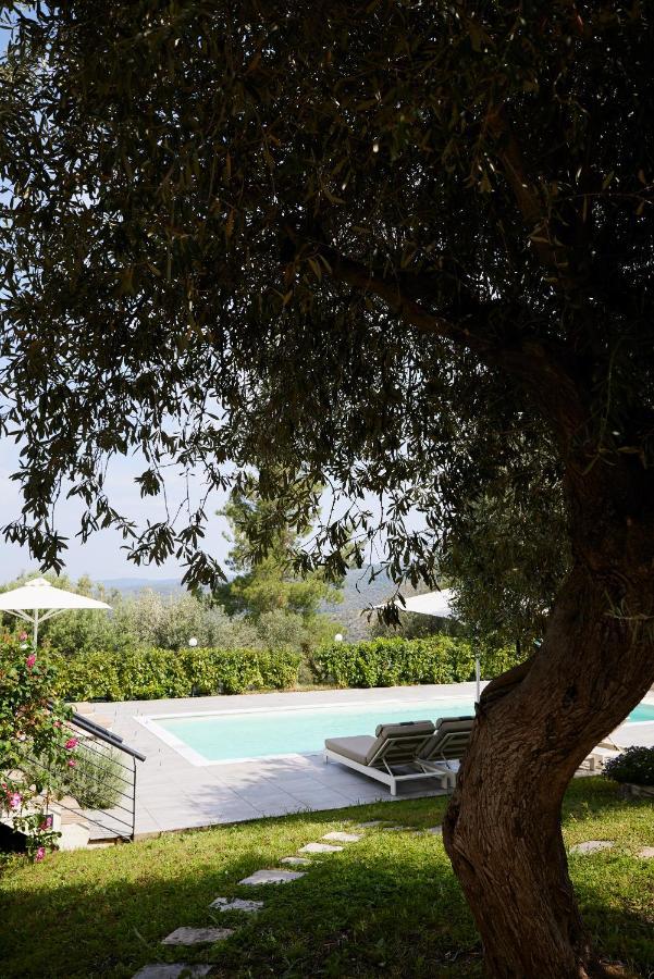 Sithonian Villa نيوس مارماراس المظهر الخارجي الصورة